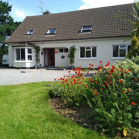 Twin Oaks Bed & Breakfast Kilkenny Bagian luar foto