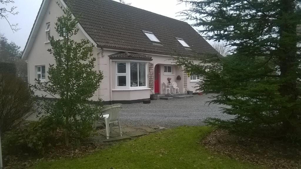 Twin Oaks Bed & Breakfast Kilkenny Bagian luar foto