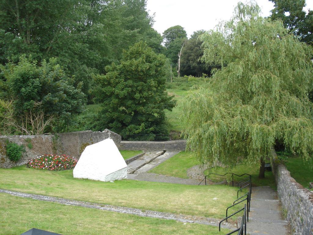 Twin Oaks Bed & Breakfast Kilkenny Bagian luar foto