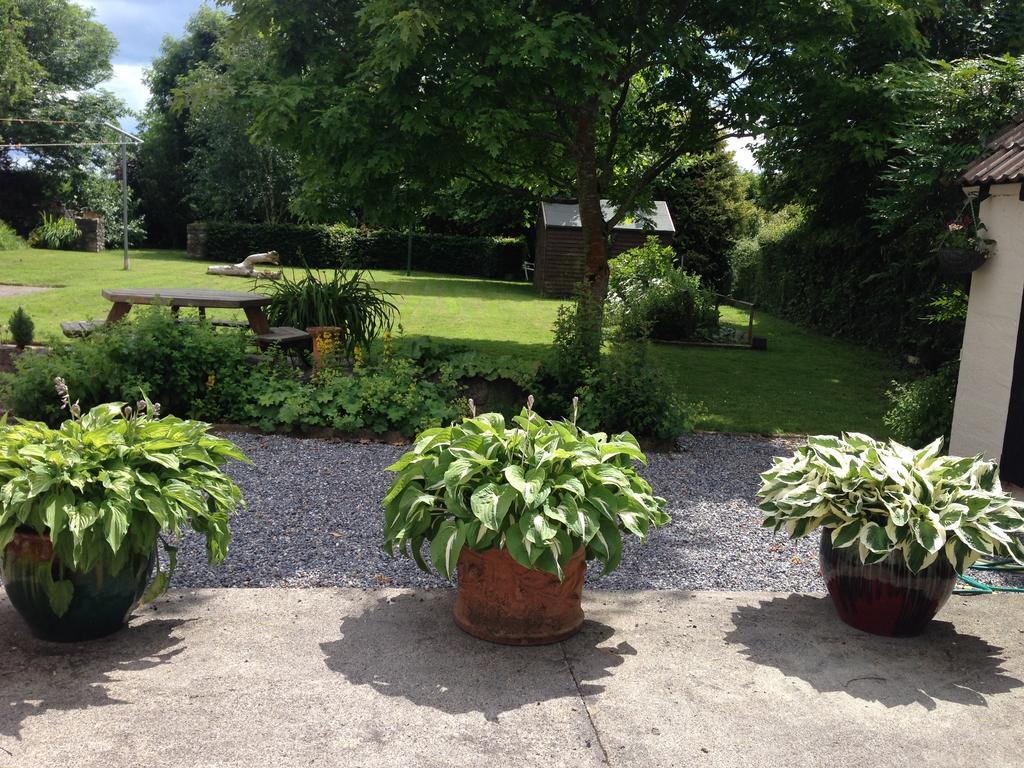 Twin Oaks Bed & Breakfast Kilkenny Bagian luar foto