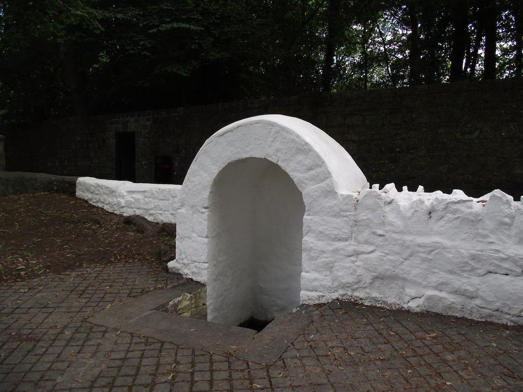 Twin Oaks Bed & Breakfast Kilkenny Bagian luar foto
