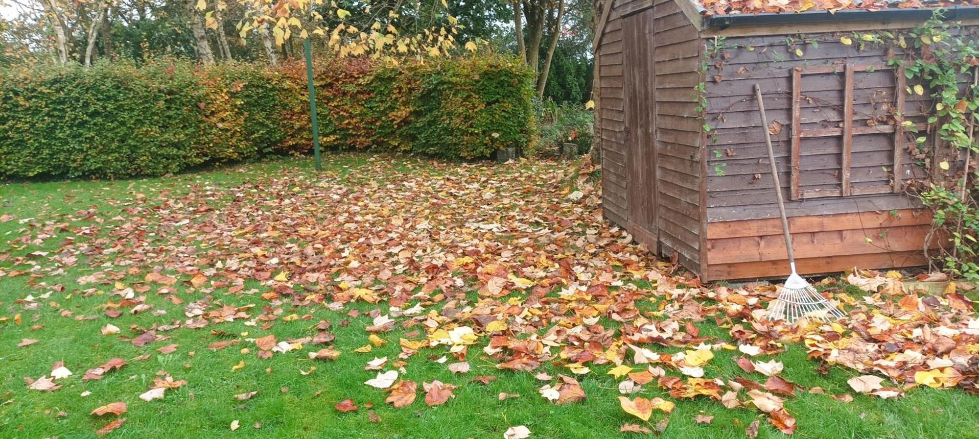 Twin Oaks Bed & Breakfast Kilkenny Bagian luar foto