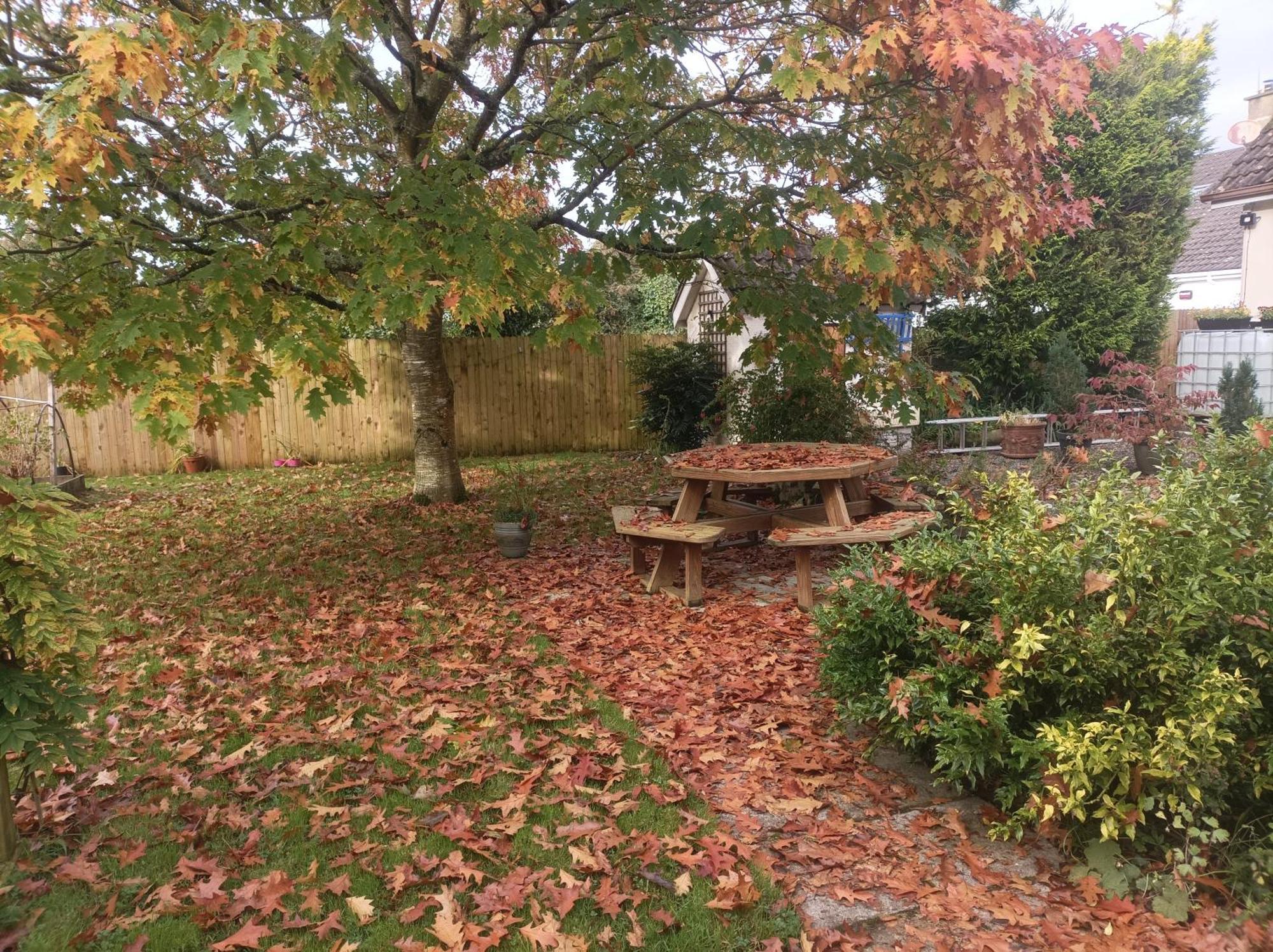 Twin Oaks Bed & Breakfast Kilkenny Bagian luar foto