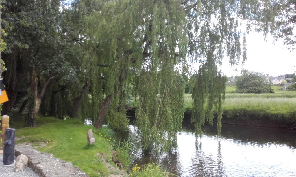 Twin Oaks Bed & Breakfast Kilkenny Bagian luar foto
