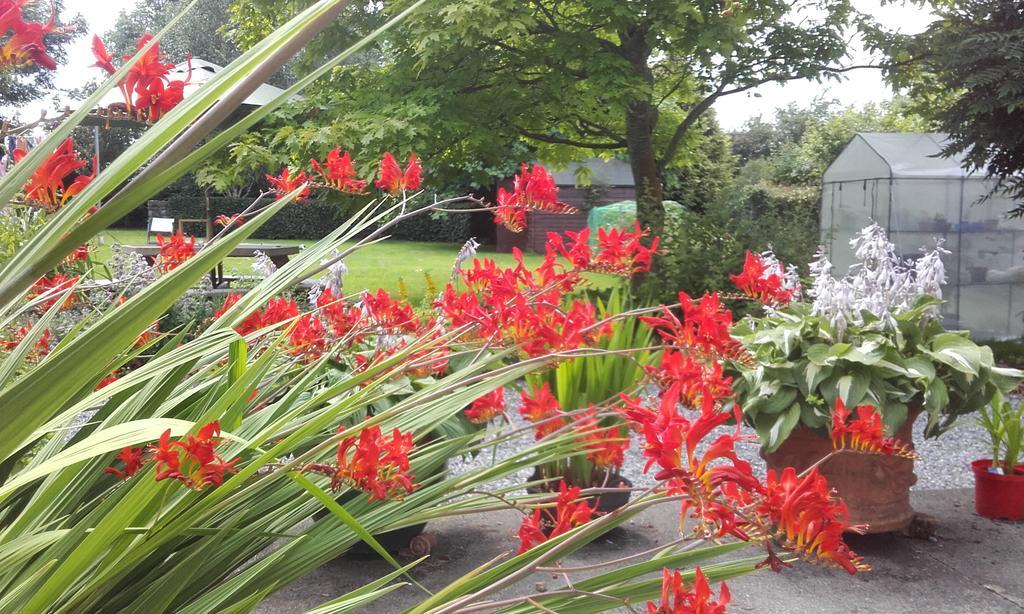 Twin Oaks Bed & Breakfast Kilkenny Bagian luar foto