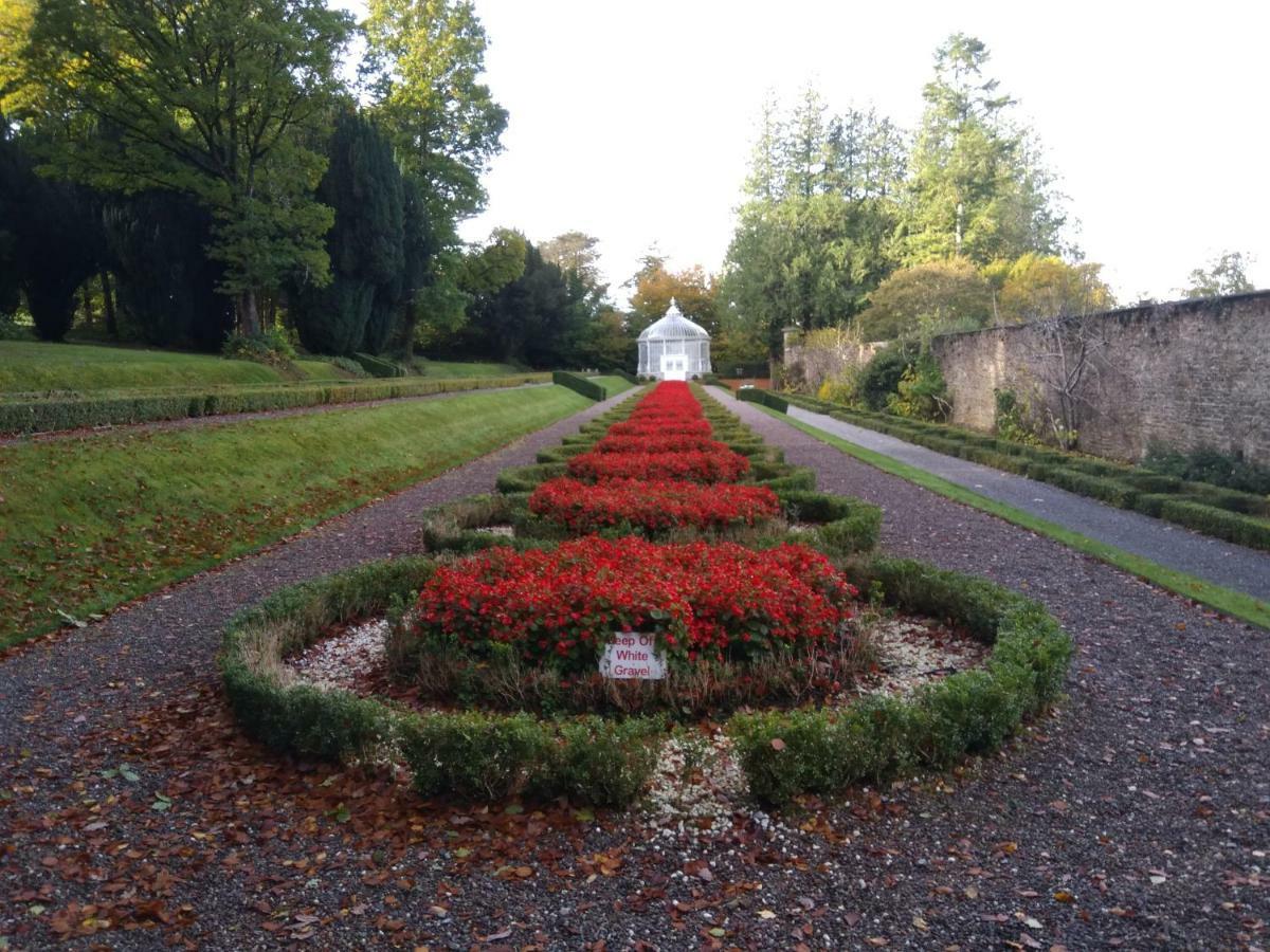 Twin Oaks Bed & Breakfast Kilkenny Bagian luar foto